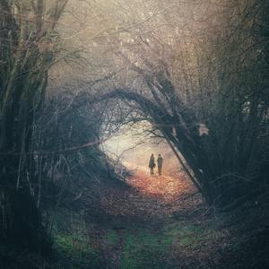 国产日韩欧美911在线观看
